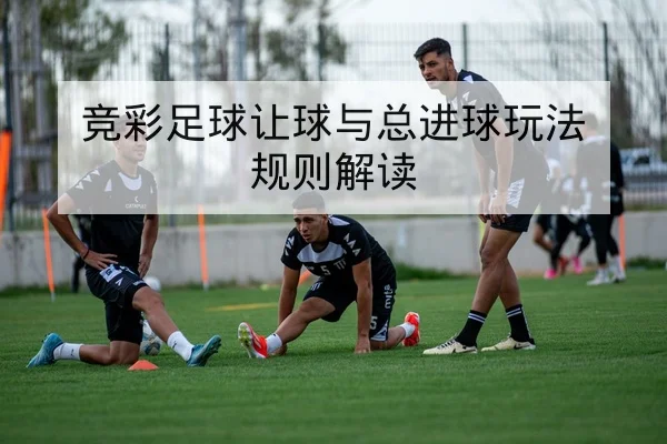 竞彩足球让球与总进球玩法规则解读