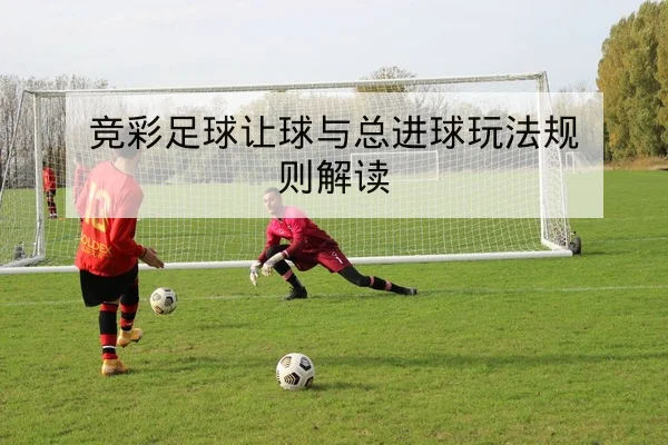 竞彩足球让球与总进球玩法规则解读
